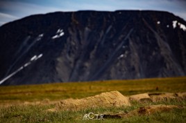 Гора Чёрная, тур выходного дня Поход на Ледник Романтиков